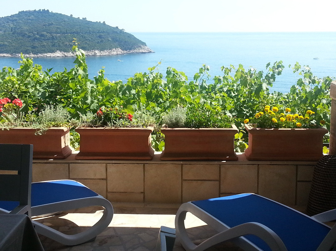 Komolac酒店住宿-Villa Leoni Apartments