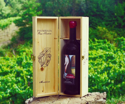 Piombaia wine cellar-蒙塔尔奇诺必去景点