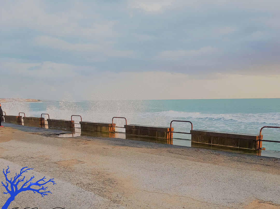 Il Gelso Bianco主图