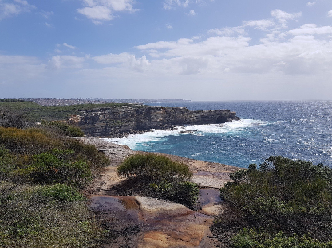 Malabar Headland National Park景点图片