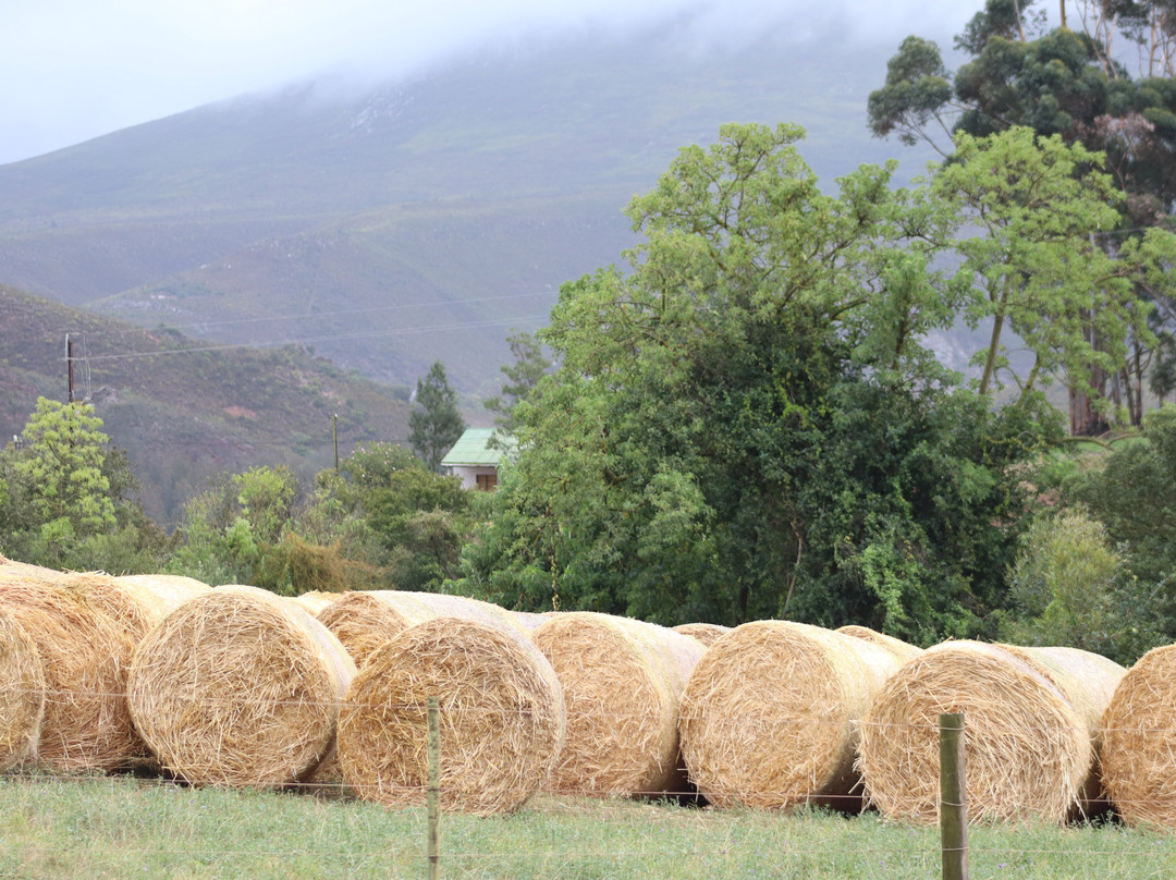 Cloetes Pass-Herbertsdale必去景点