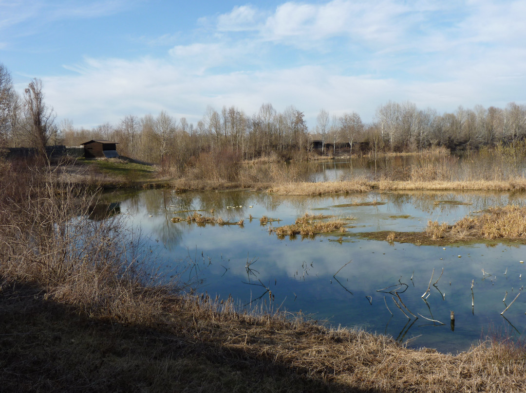 Centallo旅游景点-Oasi Naturalistica la Madonnina