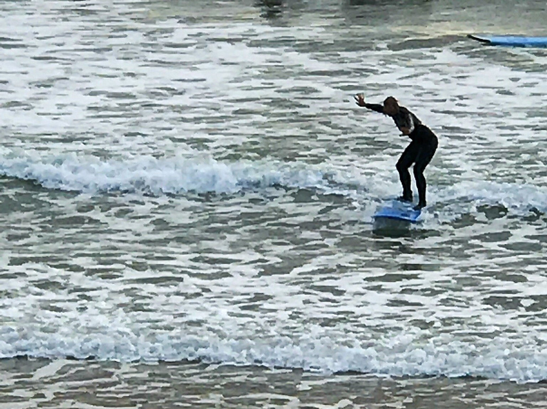 Catlins Surf School-Curio Bay必去景点