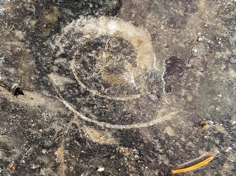 Earth & Pine Outdoor Inc.-卡尔加里必去景点