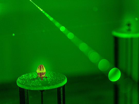 D-Code Rooms-克雷塔罗必去景点