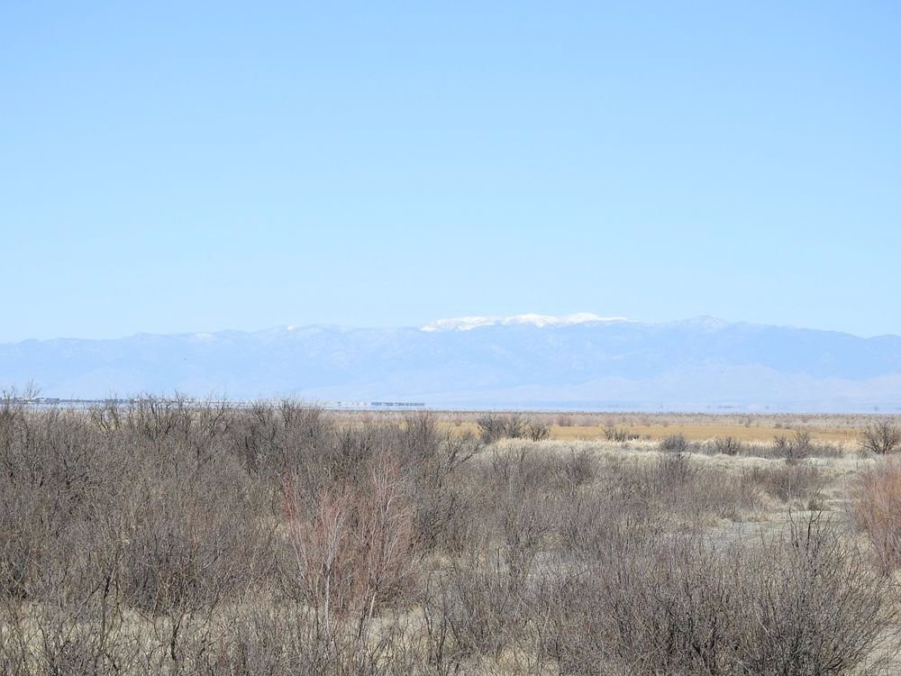 Apache Station Wildlife Viewing Area-Willcox必去景点