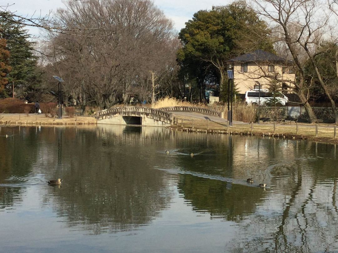 Water Castle Park-行田市必去景点