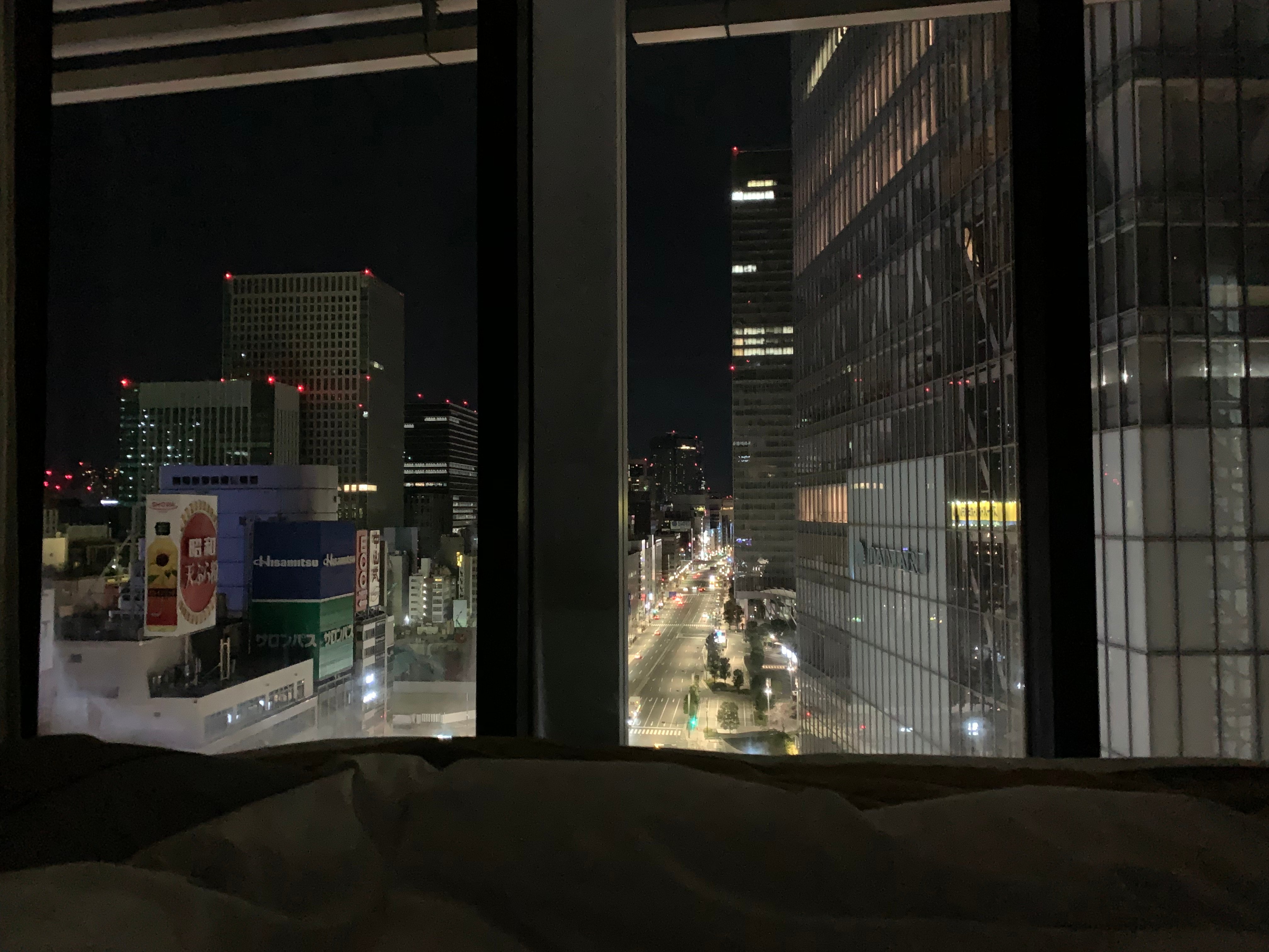 东京奥克伍德豪景酒店-酒店景观