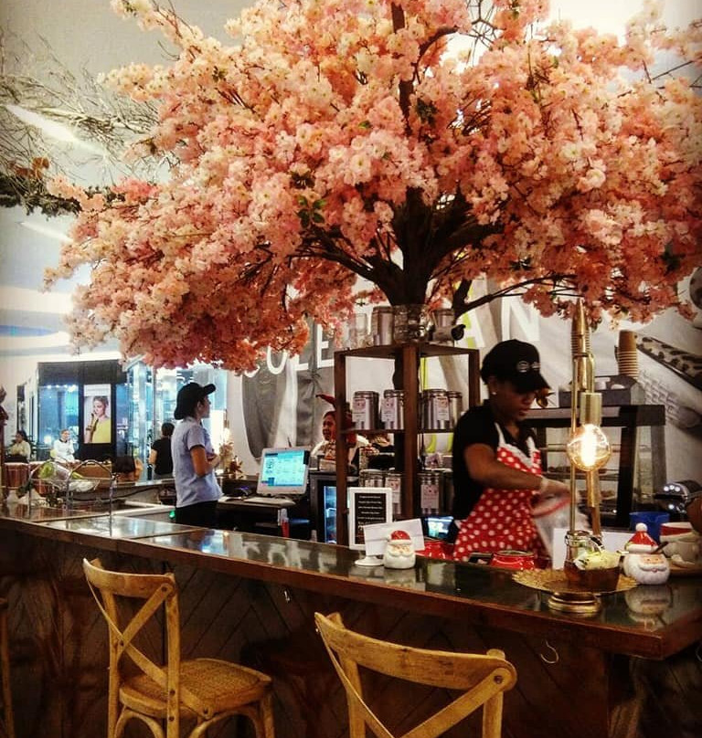 Agora Mall-圣多明哥必去景点