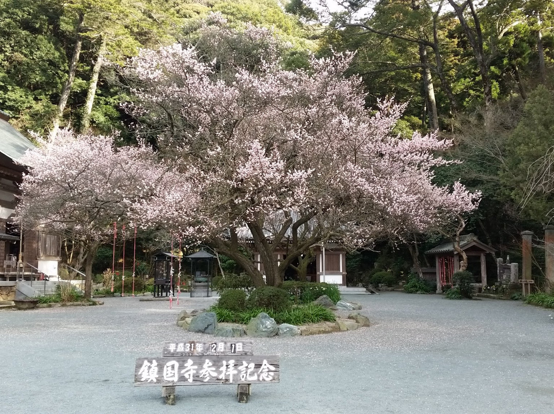 Chinkokuji Temple-宗像市必去景点