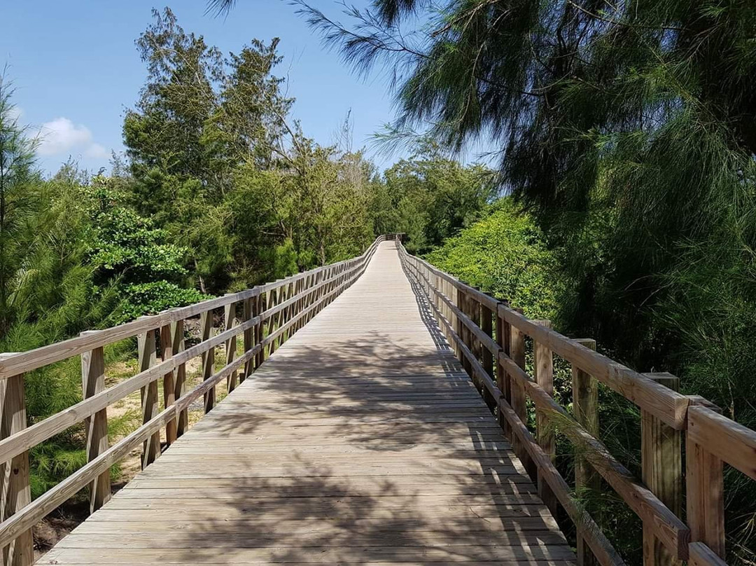 Pedalea Isabela-Isabela必去景点