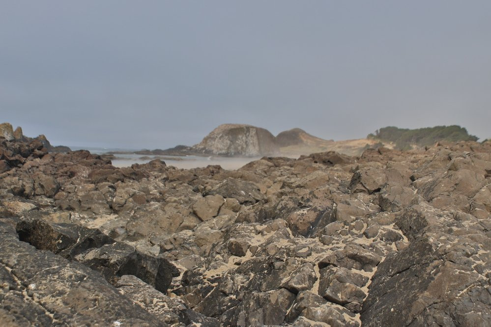 Seal Rock State Recreation Site景点图片