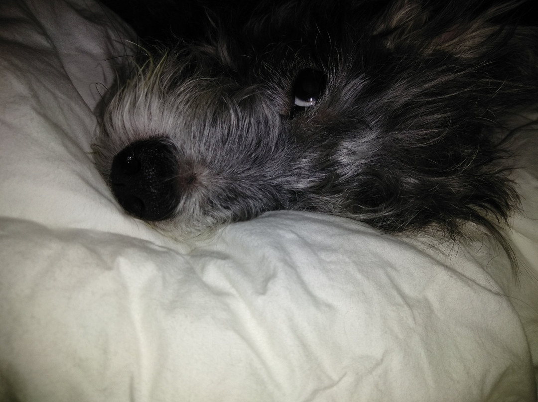 Quality Inn Mount Vernon At I-57 And I-64主图