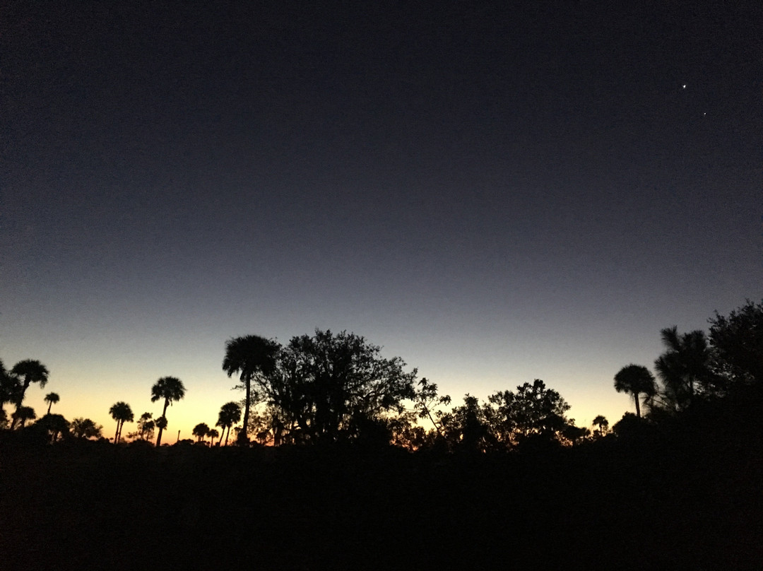 Okaloacoochee Slough State Forest-Felda必去景点