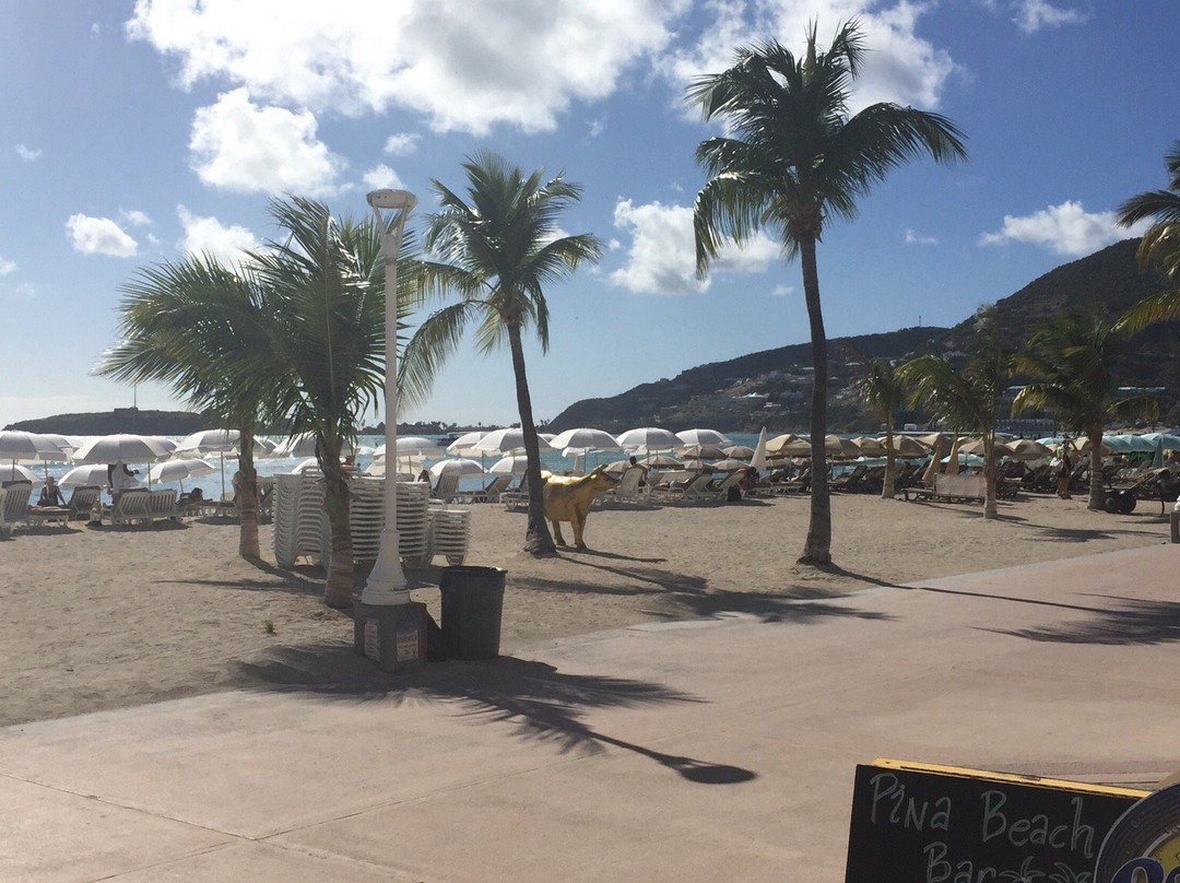 Piña Beach Bar景点图片