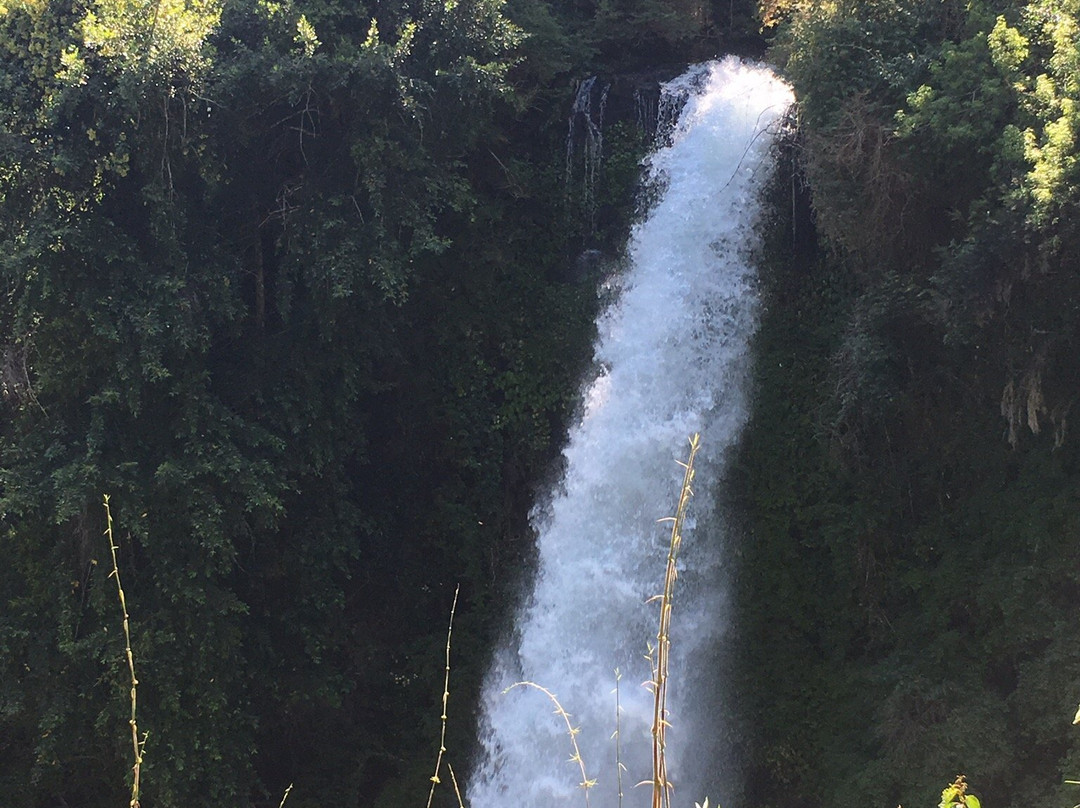 Salto del Indio-Curacautin必去景点