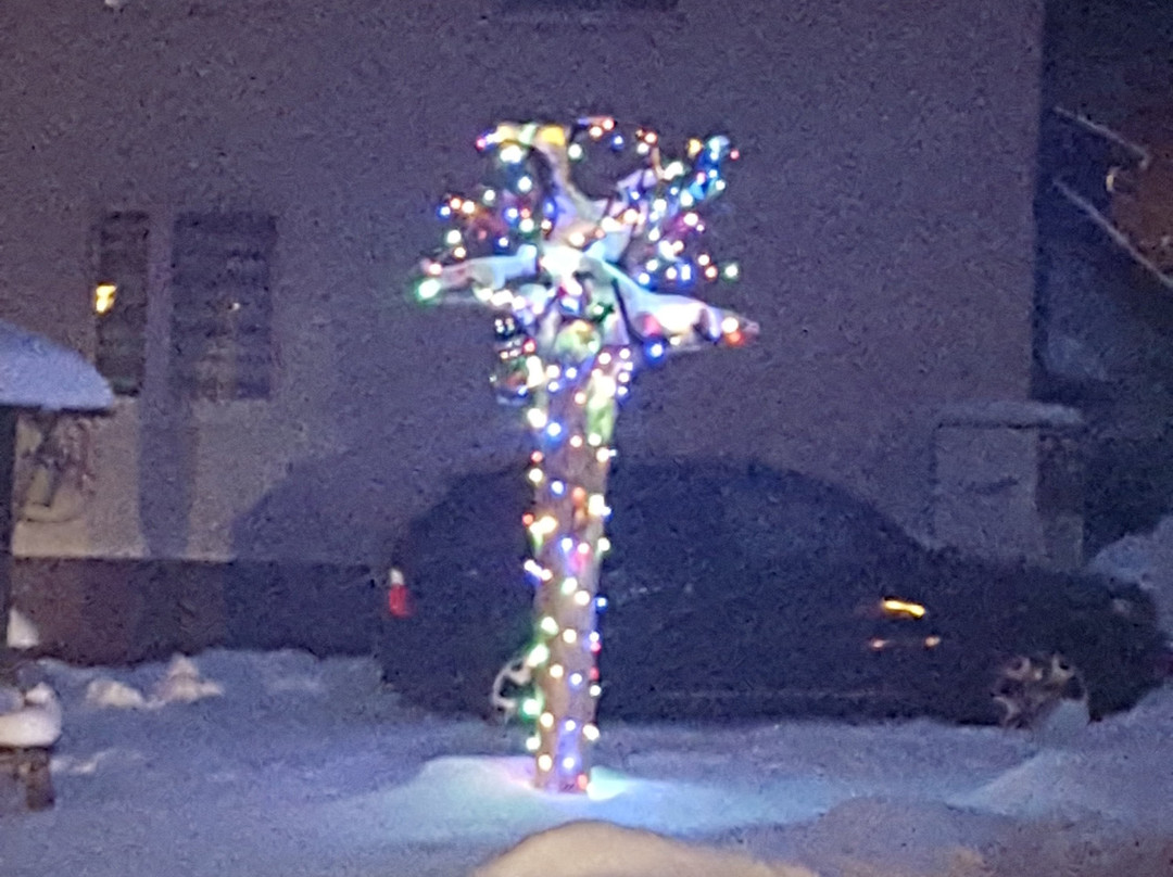 Pension & Gasthof Am Park主图