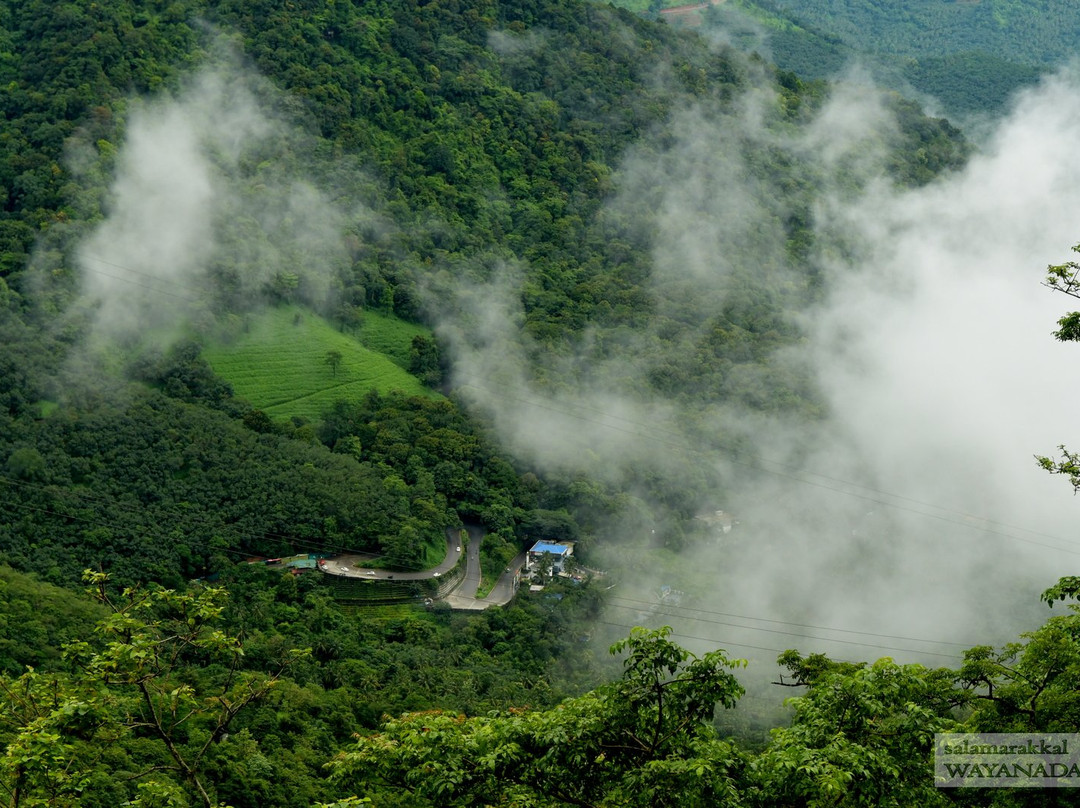 Lakkidi View Point景点图片