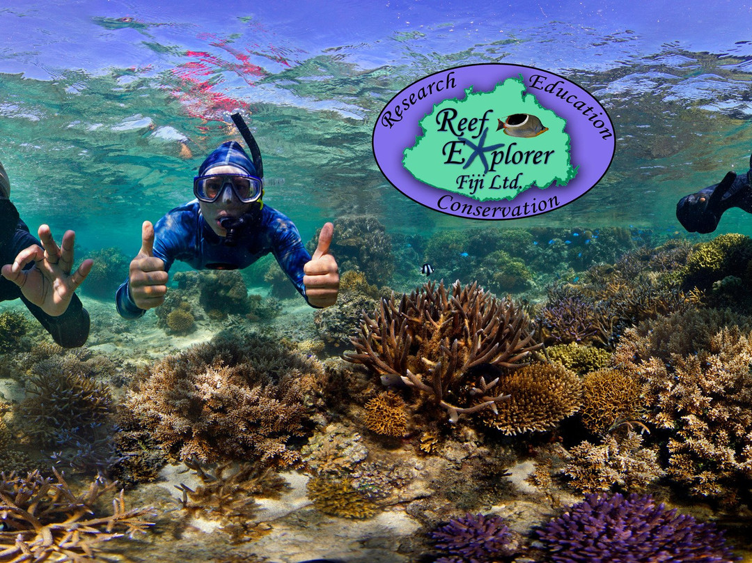Reef Explorer Fiji景点图片