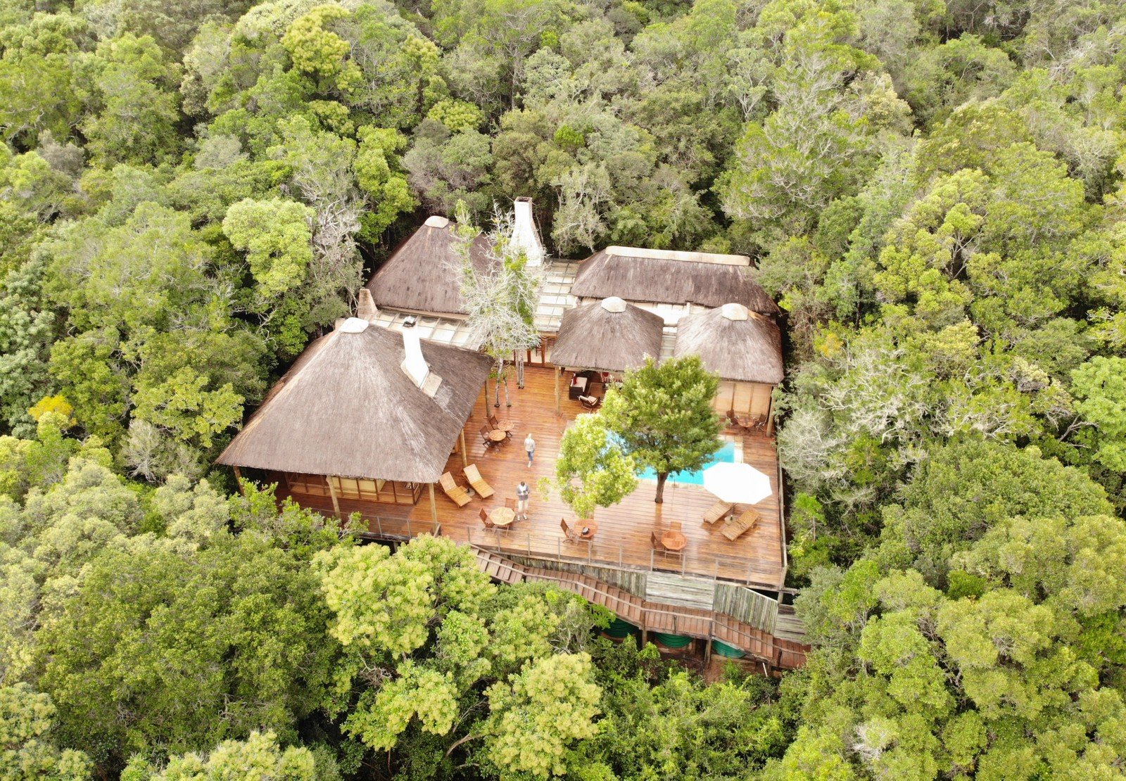 Trogon House and Forest Spa-官方