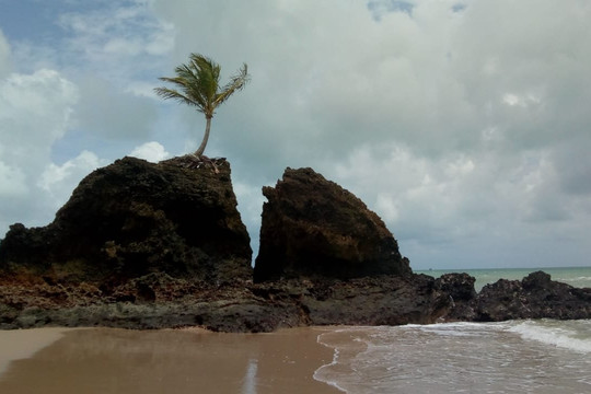 Elotur-累西腓必去景点