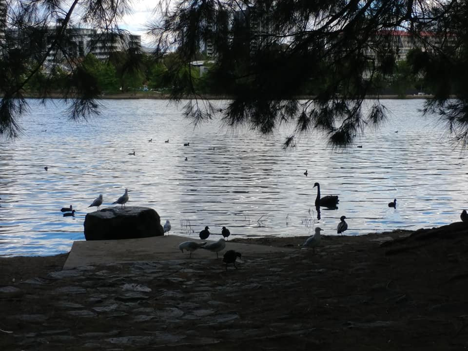 John Knight Memorial Park-Belconnen必去景点