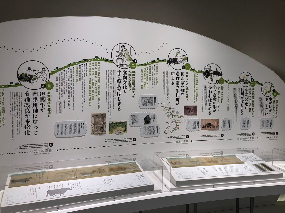 Tajima Ranch Park-新温泉町必去景点