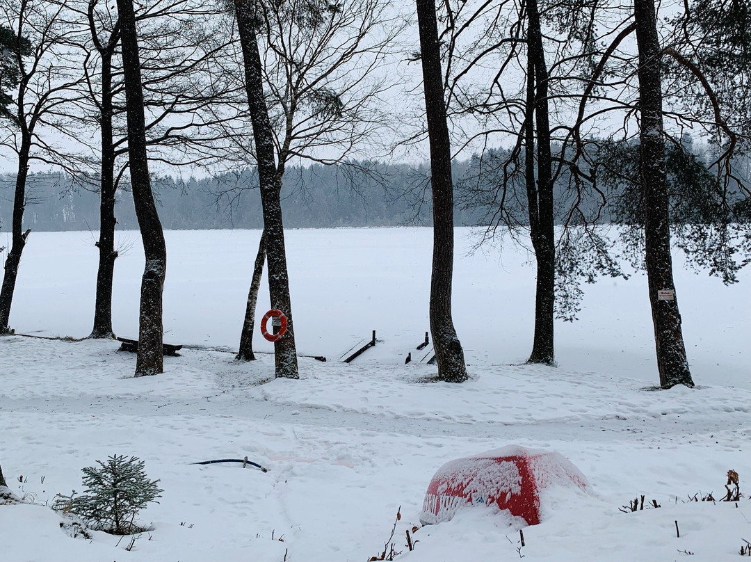 Steinsee-Moosach必去景点