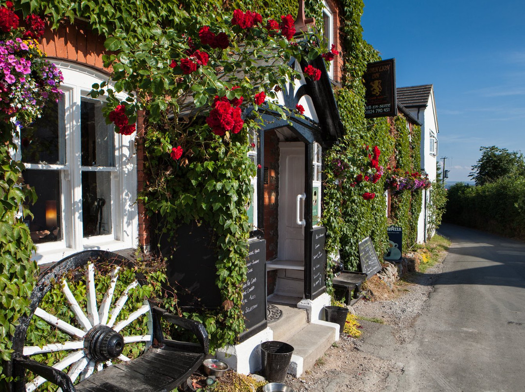 The Golden Lion Inn主图