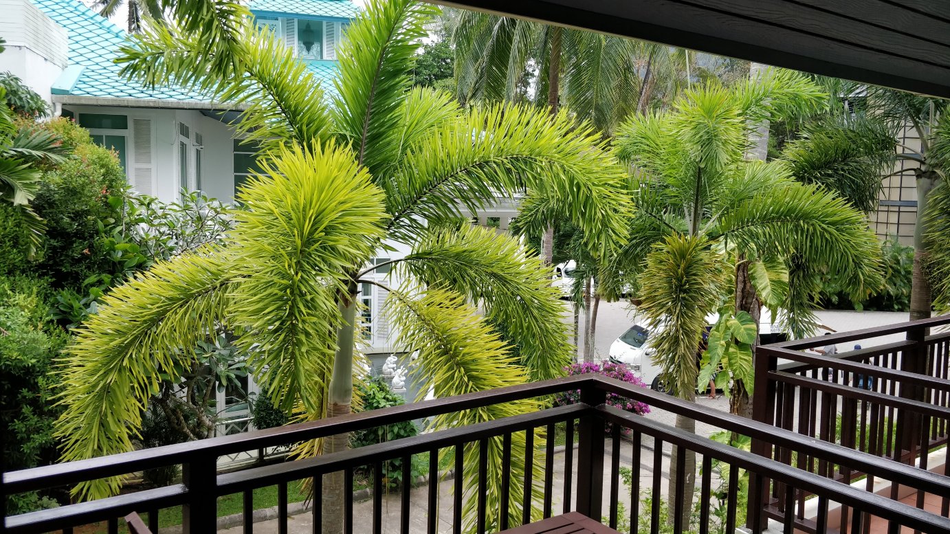 甲米提帕度假酒店-酒店景观