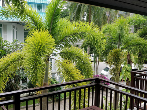 甲米提帕度假酒店主图