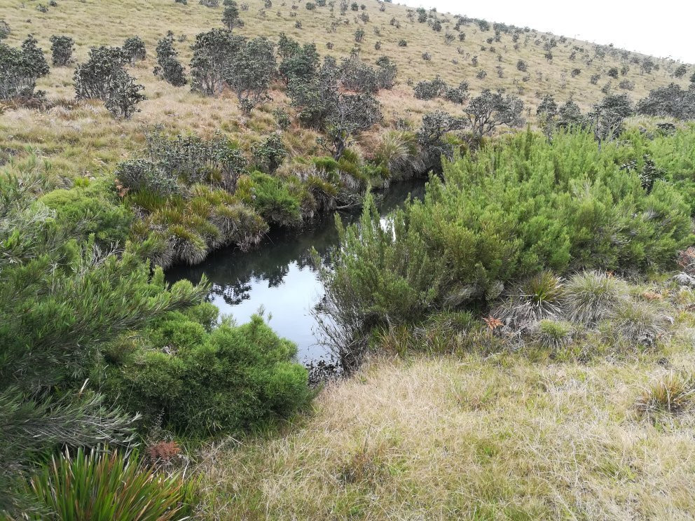 Summer Triangle Leisure-卡卢特勒必去景点
