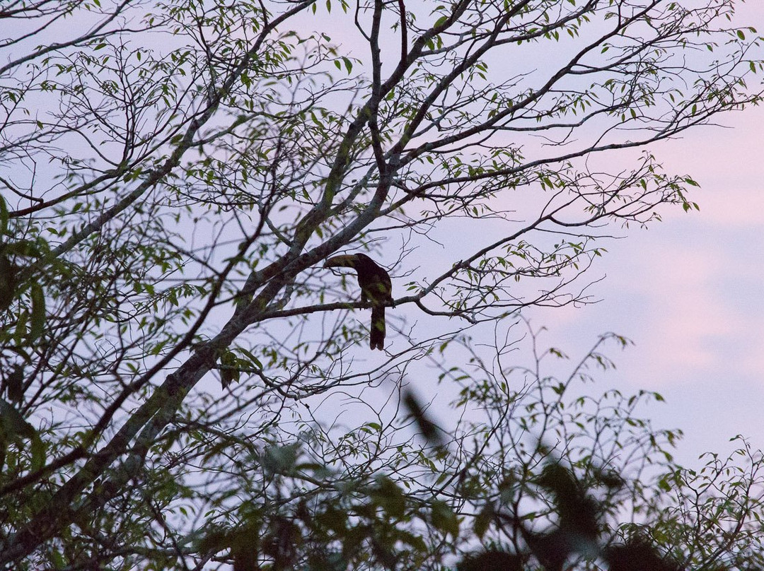 Las Nubes Resort主图