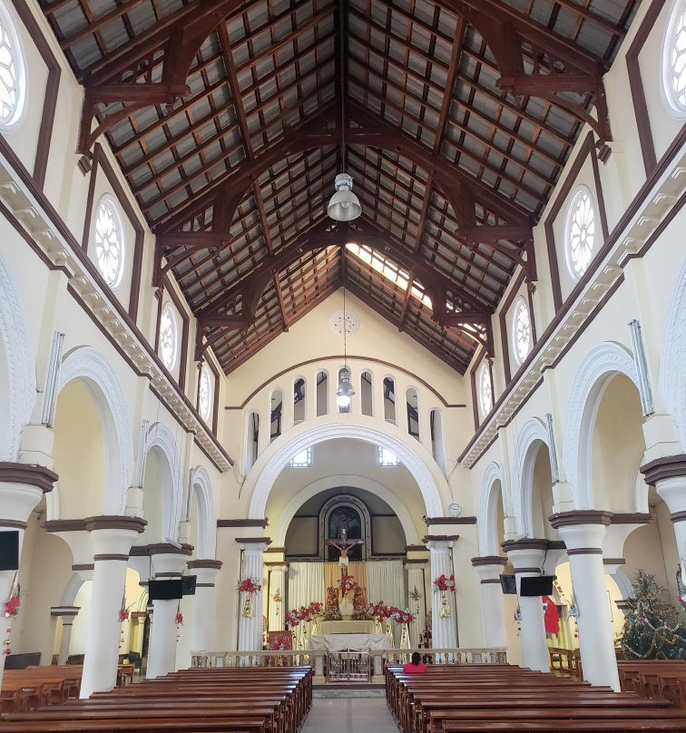 St Francis Xavier's church景点图片