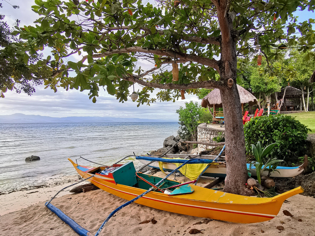 Hale Manna Coastal Gardens主图