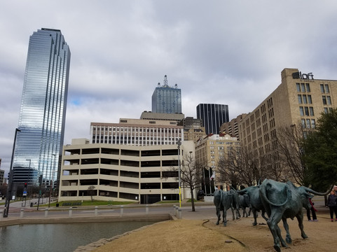 Big D Fun Tours-达拉斯必去景点