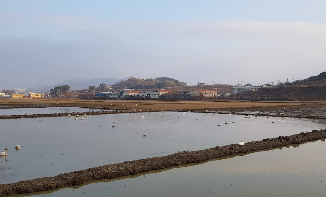 Junam Reservoir-昌原市必去景点