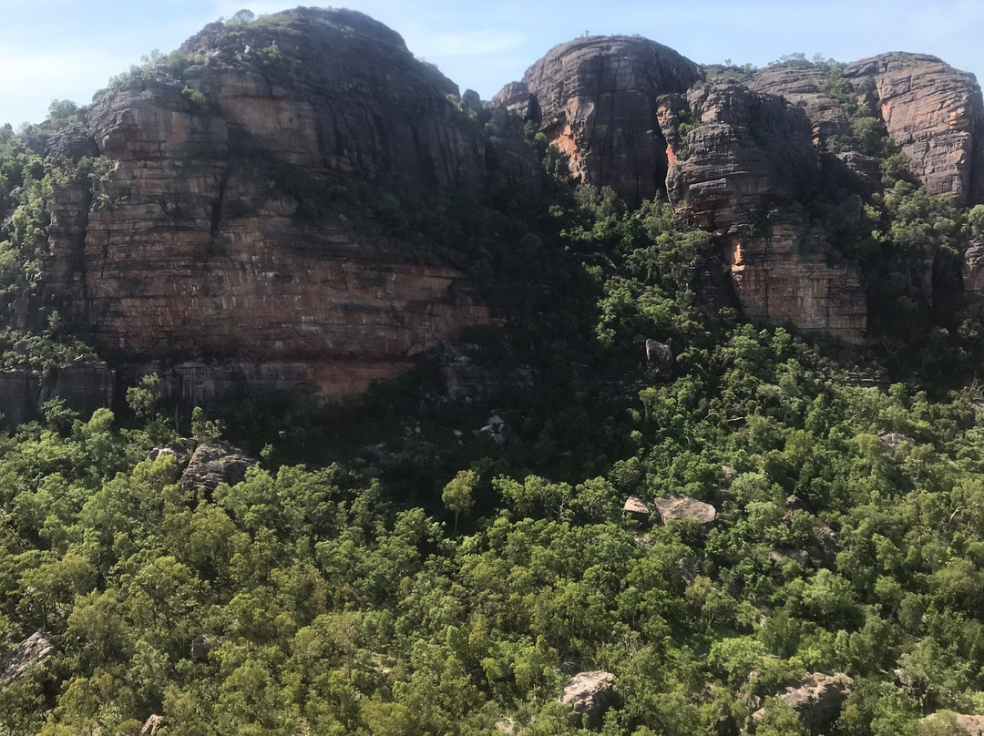 Coolibah Air-达尔文市必去景点