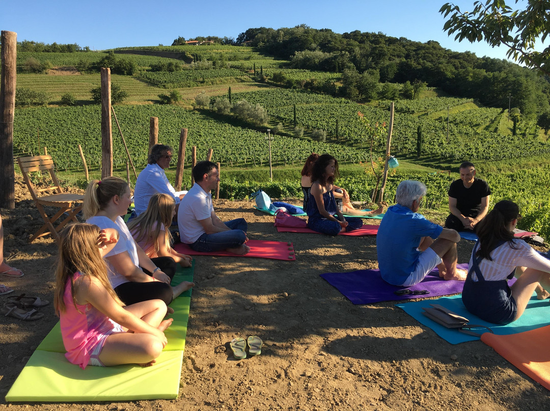 Vino e Sapori FVG-乌迪内必去景点