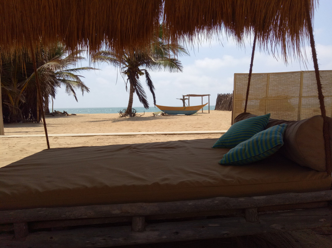 海豚海滩度假村主图