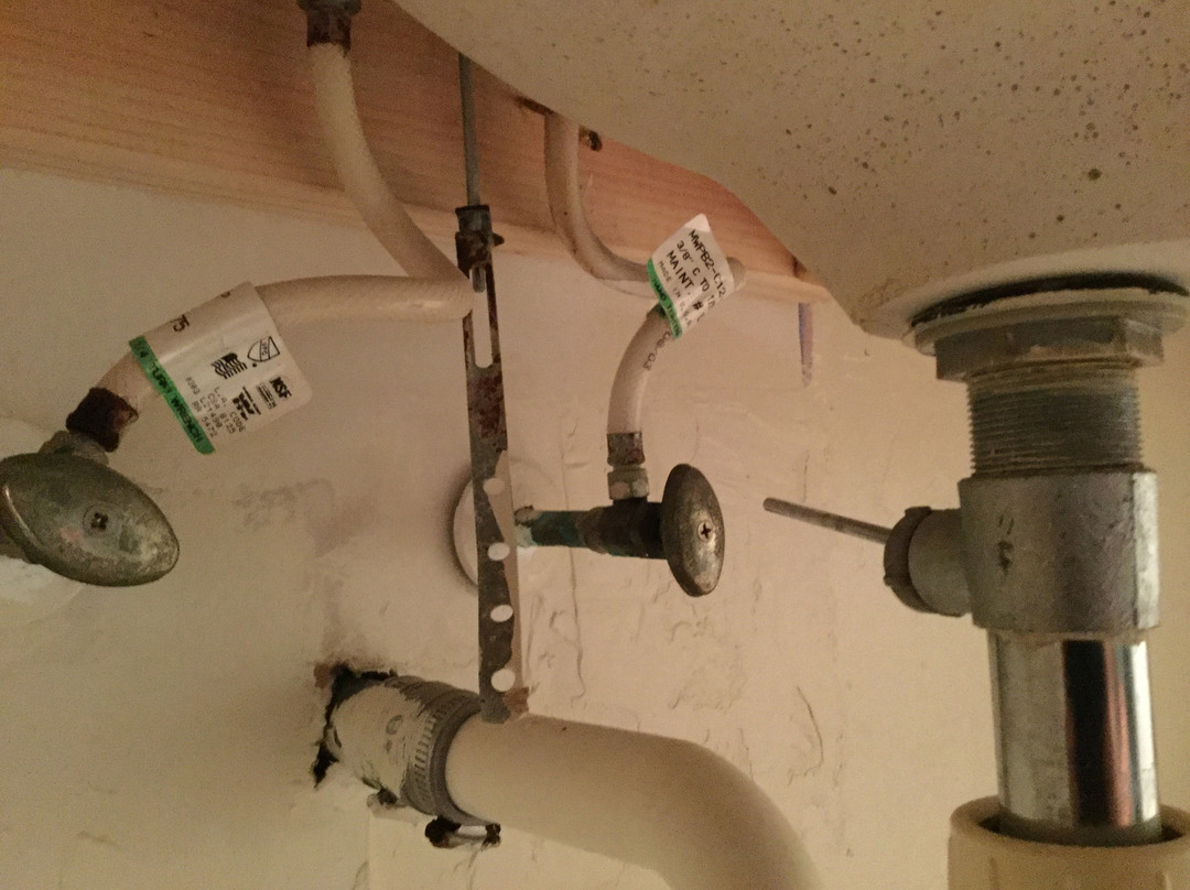 Garden Inn Homestead主图