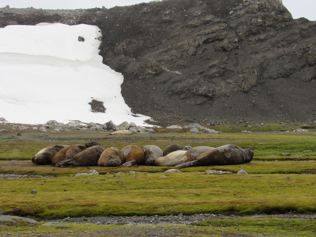 King George Island-King George Island必去景点