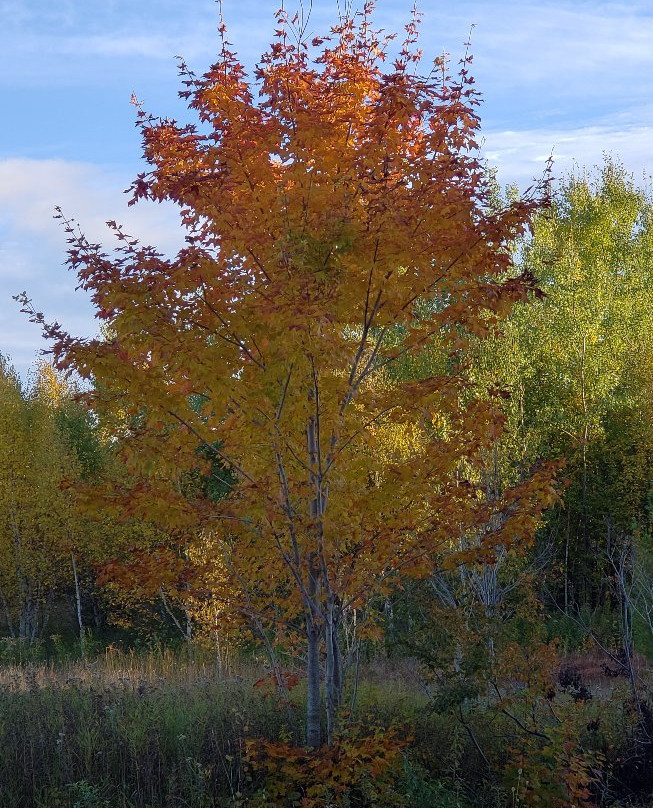 Keweenaw Peninsula-密歇根必去景点