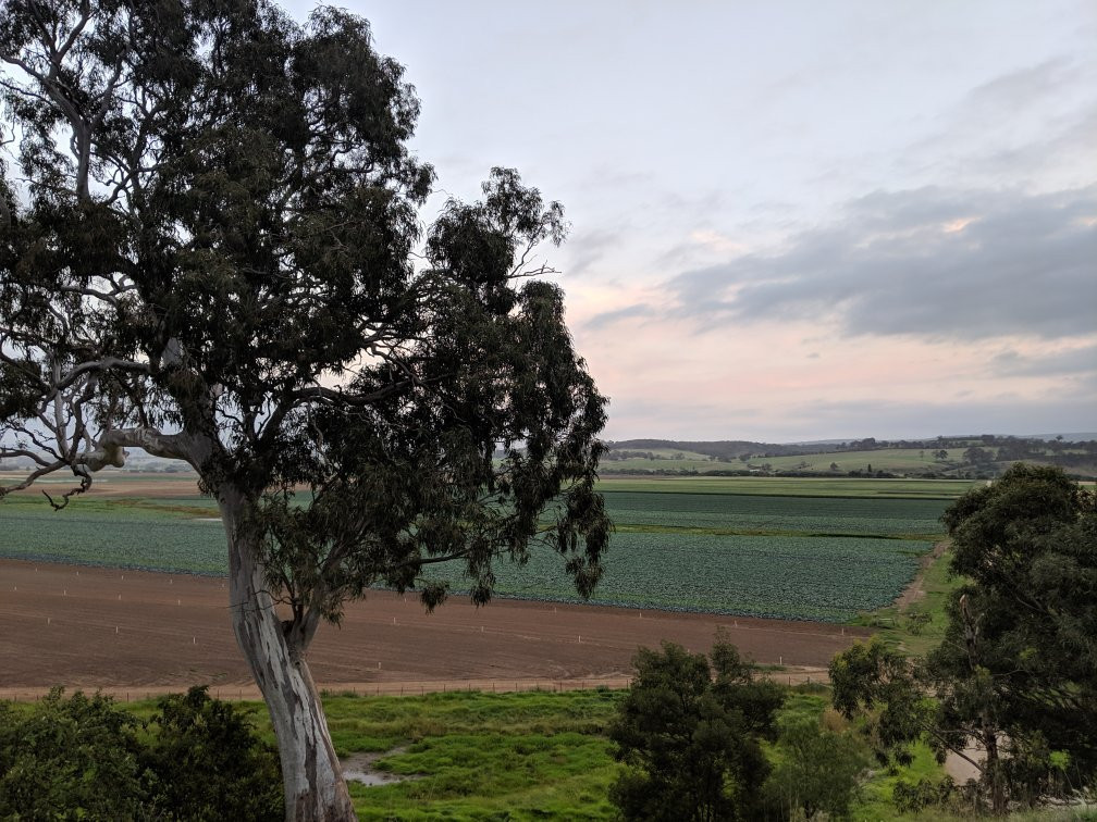 Altar Ego Church Stay主图