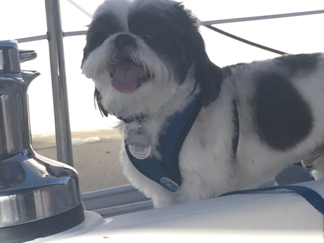 Crandon Park Marina-比斯坎湾必去景点