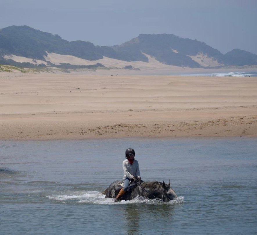 Wild Coast Horse Riding Adventures景点图片