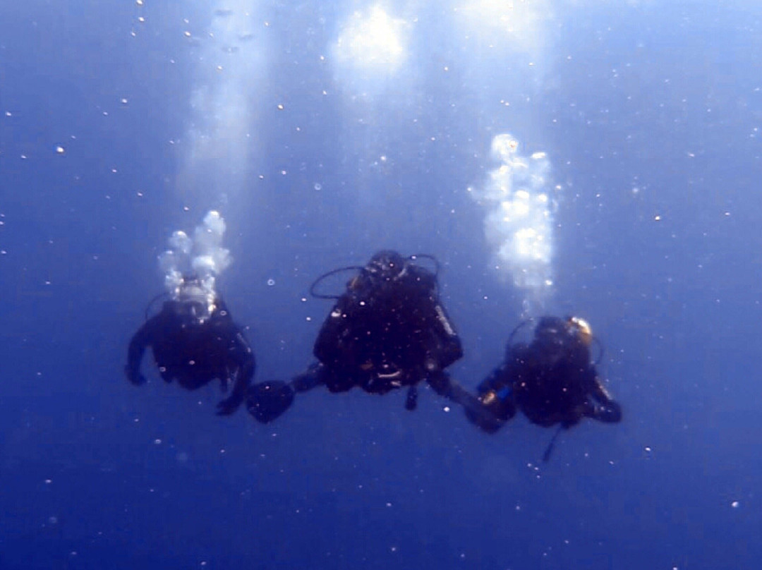 Dive Pro Fuerte景点图片