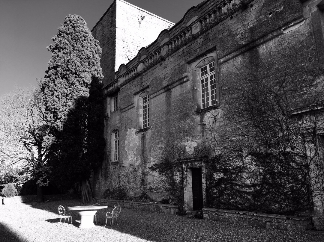 Chateau de Villevieille景点图片