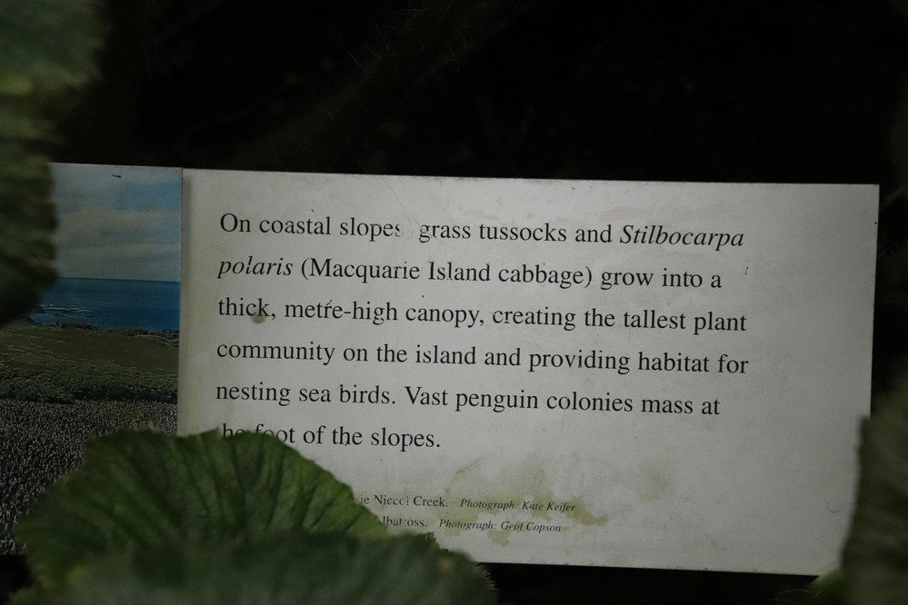 Sub-Antarctic Plant House-霍巴特必去景点