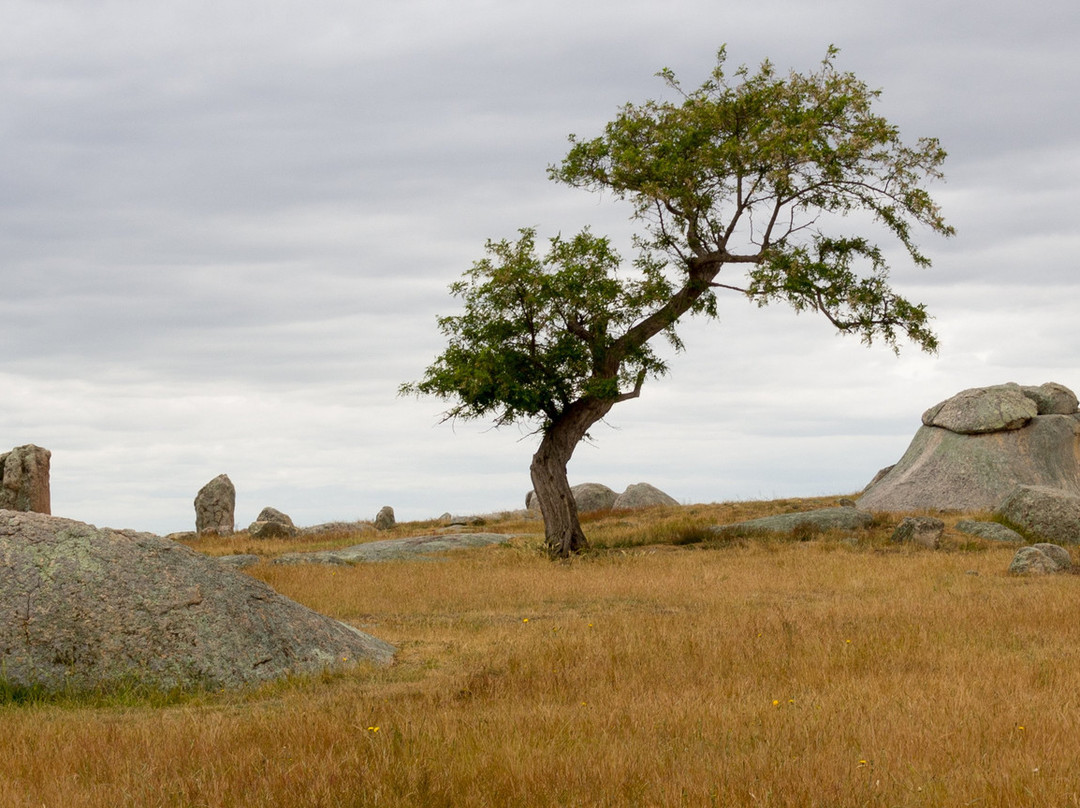 Dog Rocks-Batesford必去景点